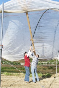 Farmers assemble a hoop house in Arkansas