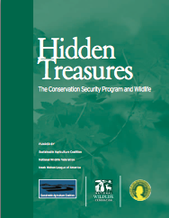 Hidden Treasures