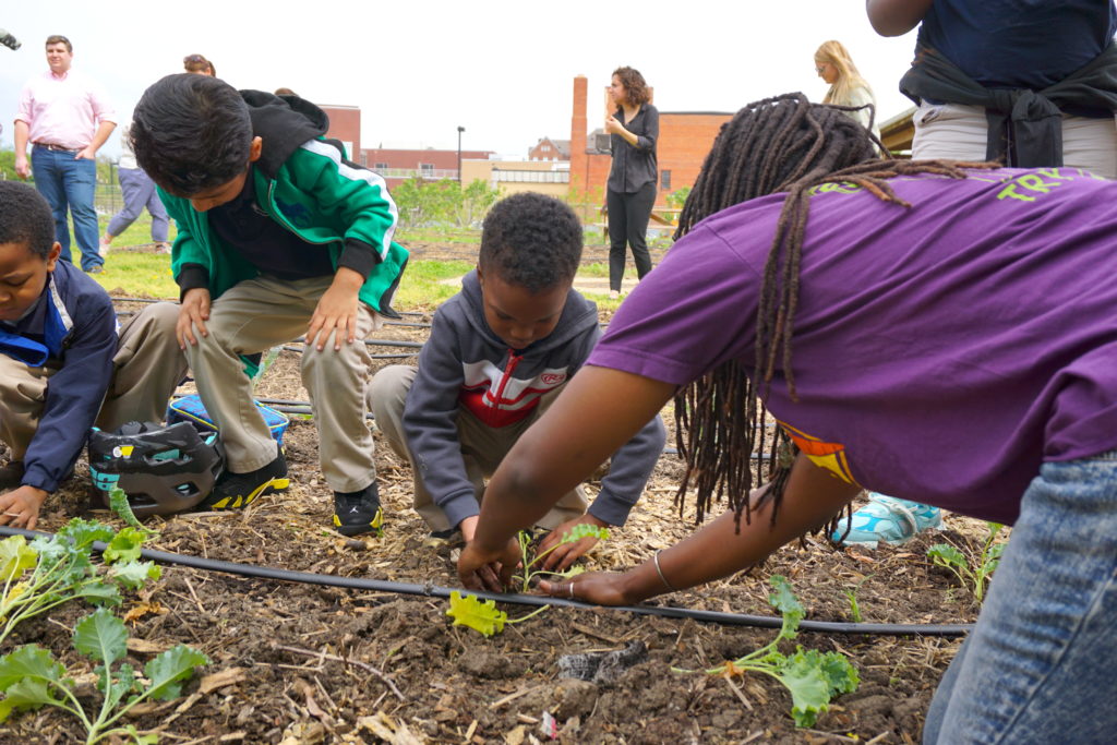Farm to school activities that would be supported by the Farm to School Act.