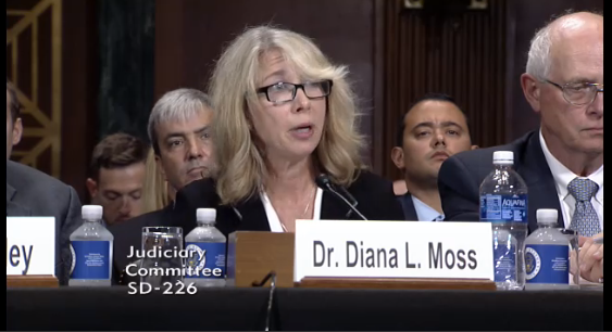 Dr. Diana Moss of the American Antitrust Institute testifies at the hearing.