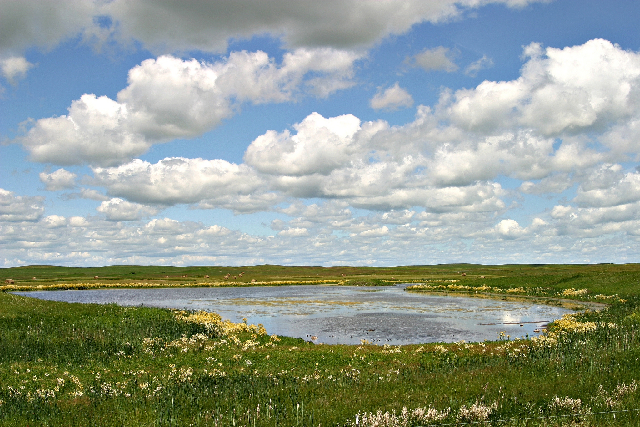Hundreds of Groups Support the American Prairies Conservation Act - National ...