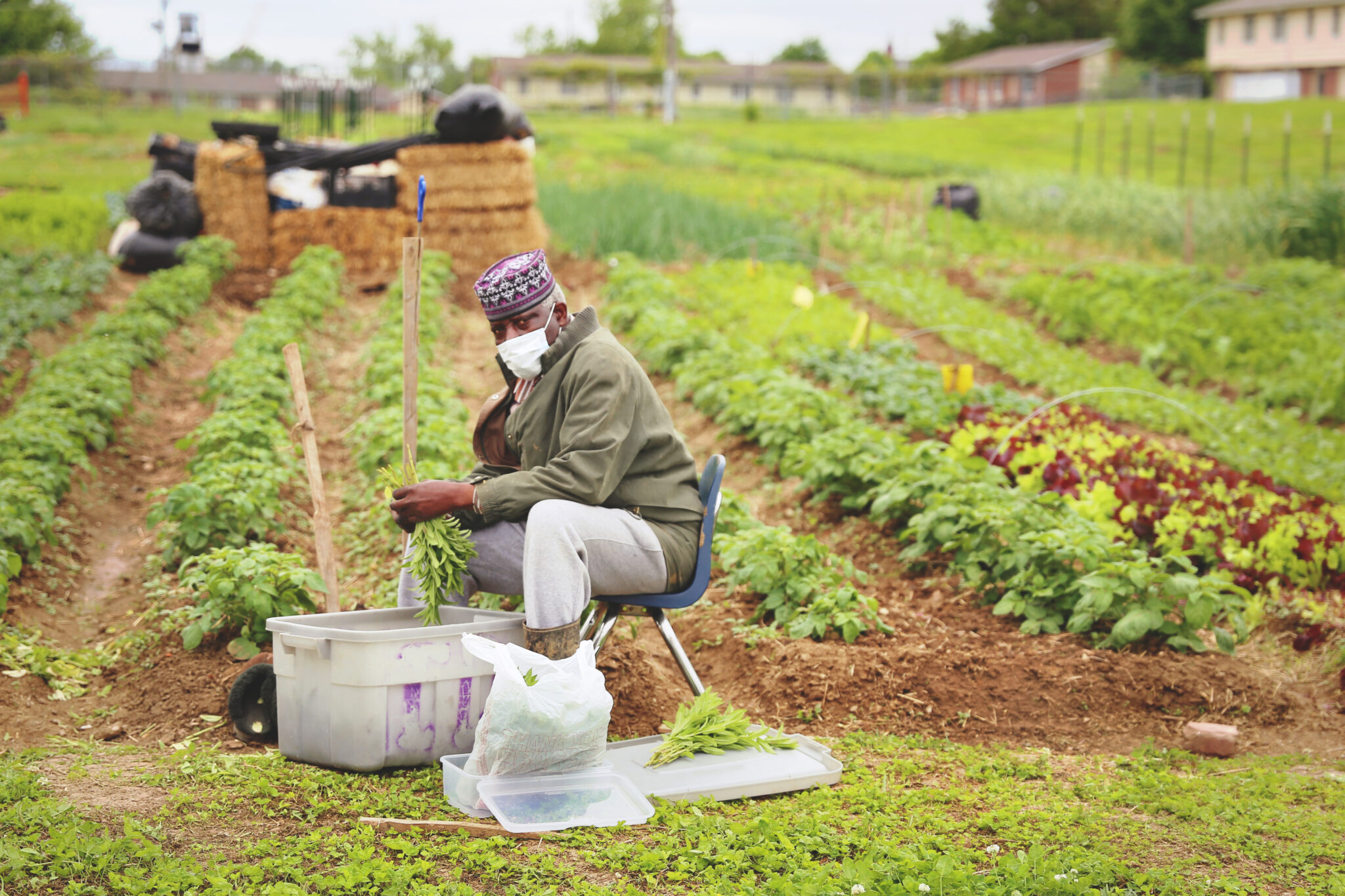 New But Mighty Office Of Urban Agriculture And Innovative Production