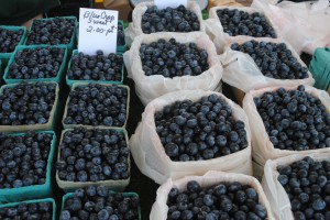 Blueberries at Holland Farmers Market