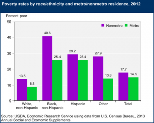 Rural Poverty by Race