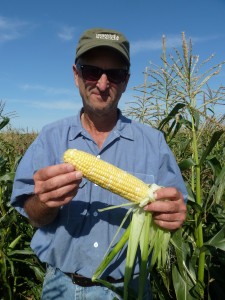 Plant breeder Bill Tracy of the University of Wisconsin - Madison with an ear of 'Who Gets Kissed?' sweet corn