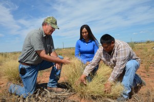 NRCS tech assistance grazing land navajo UT credit USDA