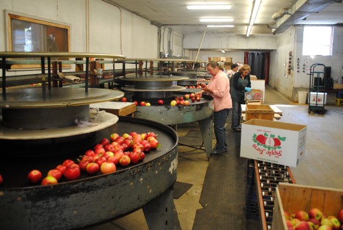 An apple packing shed in Maine. Credit: NSAC