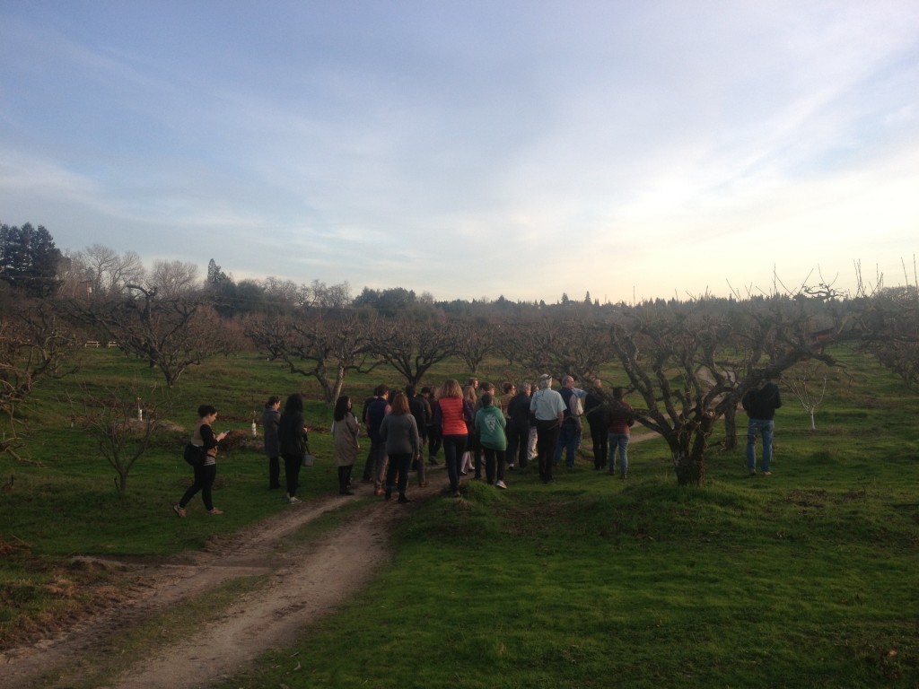 Otow Orchards 2016-1
