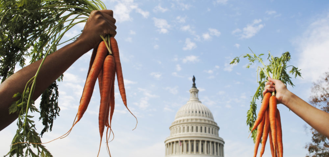 Guest Post: Climbers and Farm Policy