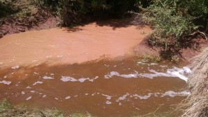 The water run-off from Leon's farm is clear, while water run off from a neighboring farm carries large amounts of clay and soil. 