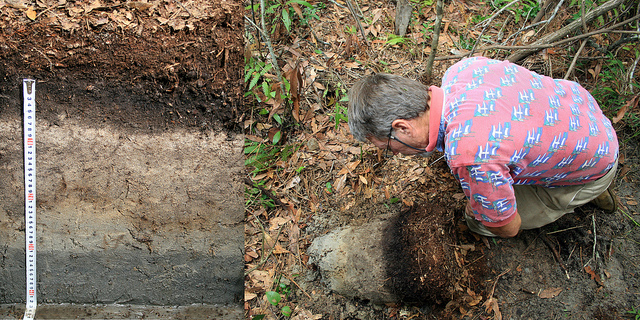 Soil scientist at work. Photo credit: NC State. 