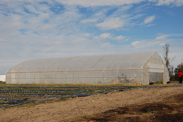 Hoop house in Shorter, AL. Built with support from NRCS and EQIP. Photo credit: USDA.