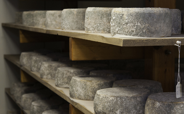 VAPG grants can be used to make value-added products like these "Blue Bay" cheese rounds from Easton, MD. Photo credit: USDA.