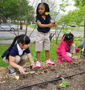 Students planting at the K Street Farm.