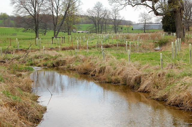 Soper Farm in Westminster, MD, which uses funds from the Environmental Quality Incentives Program (EQIP) to keep their stream clean and healthy. Photo credit: Chesapeake Bay Program.