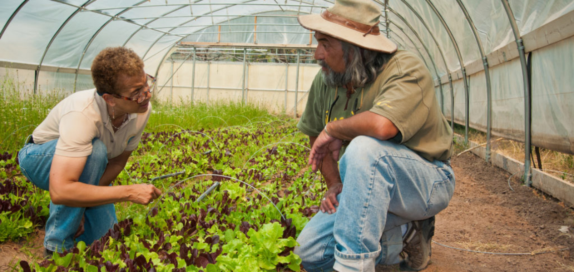 USDA Staffing Crisis: Nationwide Losses