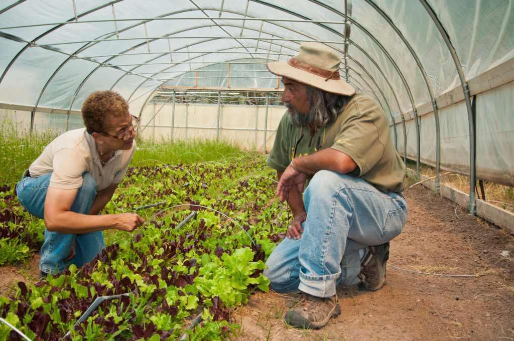 New Mexico farmer Don Bustos shows USDA staff inside his hoop house. Photo credit: USDA.