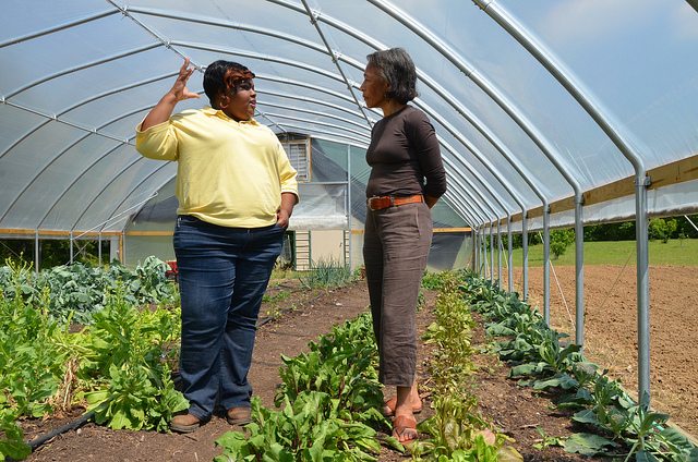 NRCS Arkansas district conservationist Derinda Smith speaks with a local resident about conservation practices for optimizing vegetable production under a high tunnel. Photo credit: USDA.