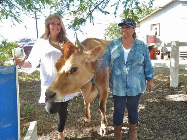 Pickles, the face of Naked Cow Dairy, with dairy owners, sisters Sabrina St. Martin and Monique van der Stroom. Photo credit: Nadine Kam, Hawaii Eats.