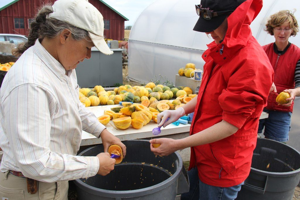 Beth Rasgorshek (left) cleans squash seed on her organic farm in Nampa, Idaho. Micaela Colley (far right) of OSA is co-author of the Pacific Northwest report. Photo credit: Trav Williams, Broken Banjo Photography
