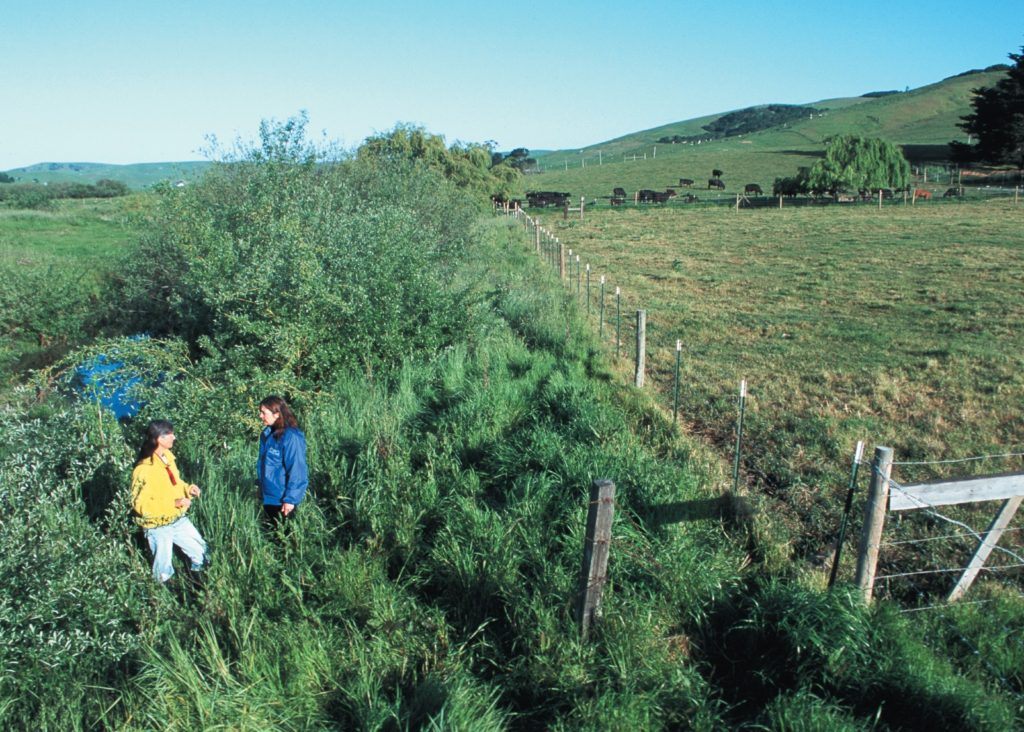 California buffer strip, one of many conservation practices supported by the farm bill's working lands conservation programs. Photo credit: USDA NRCS.