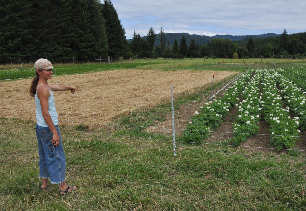 Crop rotation examples at Goodfoot Farm, OR. Photo credit: USDA.