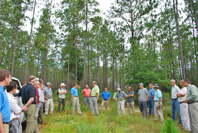 Partners attending a tour of a RCPP project area in the Coastal Headwaters Forest in Baldwin County, Alabama. Photo credit: USDA.