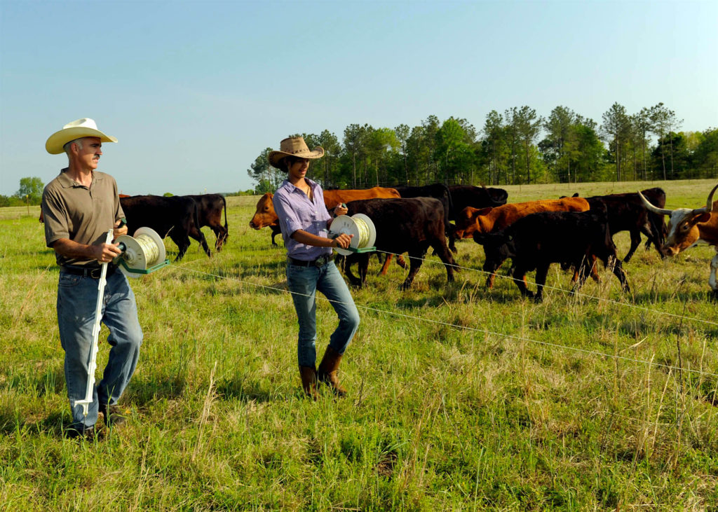 Ranchers implementing rotational grazing strategies. Photo credit: USDA.
