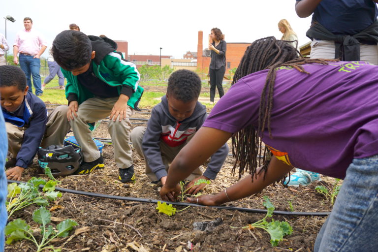 Farm to School Grant Awards Will Fund 65 Projects Nationwide - National ...