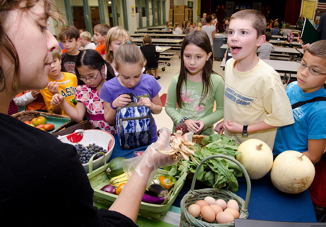 Maple Avenue Market Farm co-owner teaching students about local and interesting varieties of produce as part of their farm to school program. Photo credit: USDA.