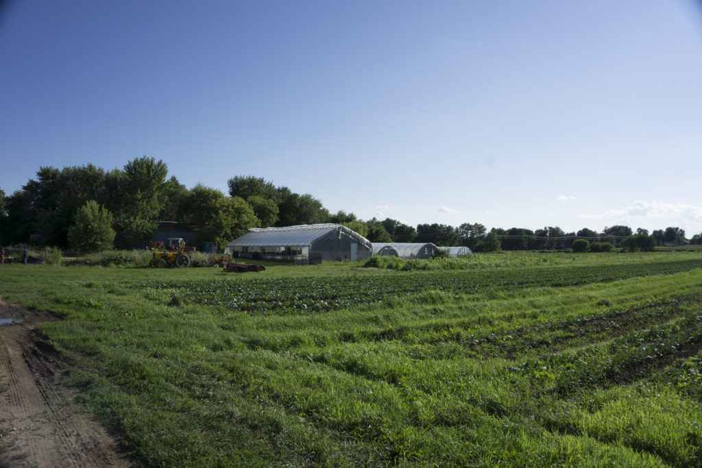 Tipi Produce, an organic Wisconsin farm. Photo credit: Reana Kovalcik, NSAC.