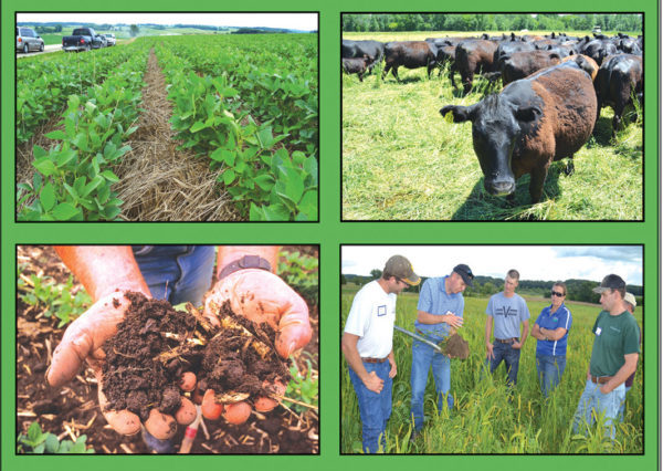 Cover image, soil health guide