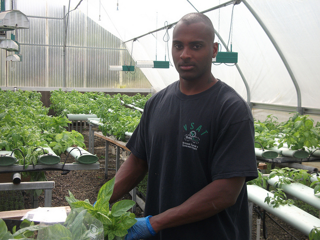 A veteran and participant of the Veterans Sustainable Agriculture Training (VSAT) program handles living basil. VSAT was started by decorated Marine sergeant Colin Archipley, to pass on agricultural knowledge to veterans to provide healing through farming and also to support them in starting their own agricultural enterprises.