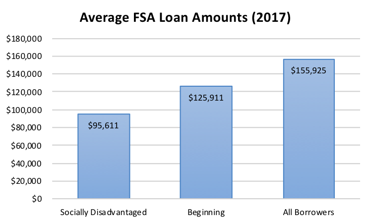 Average FSA Loan Amounts (FY 2017)