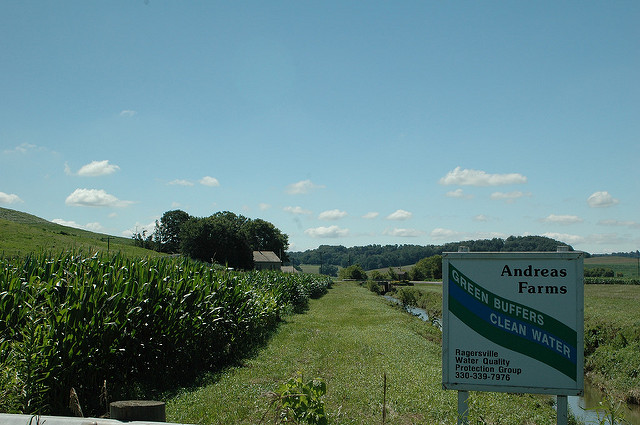 Andreas Farm uses buffers to help improve water quality. Photo credit: USDA NRCS.
