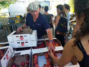 NSAC staff buying fresh fruit at Tonnemaker Farmstand. Photo credit: Reana Kovalcik.