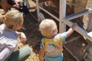 A blonde toddler investigates a chicken coop on an urban farm. 