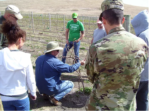 Veterans participate in a SAVE Farm training. Photo credit: SAVE Farm.