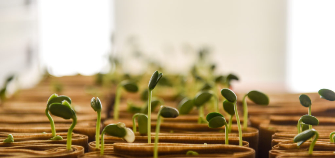 Farmers Need Climate Research to Thrive