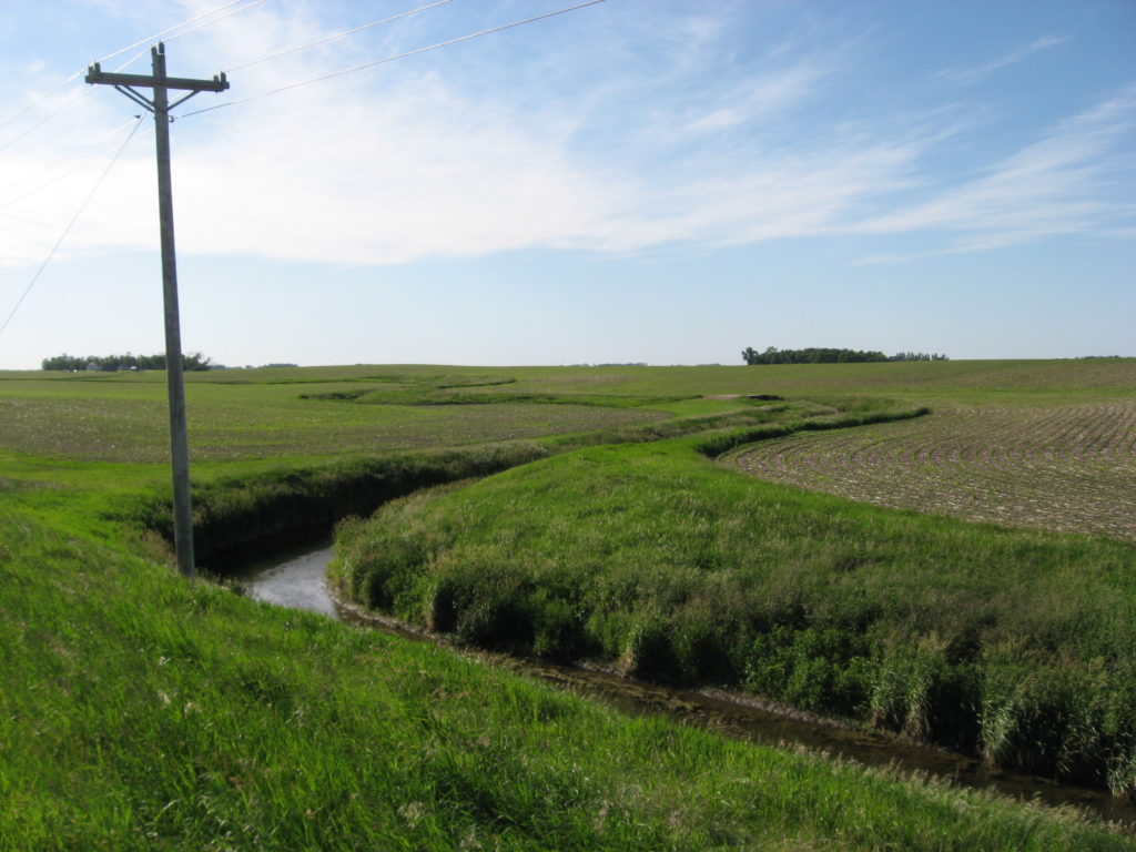 Stream buffer and crop fields. Photo credit: MPCA.