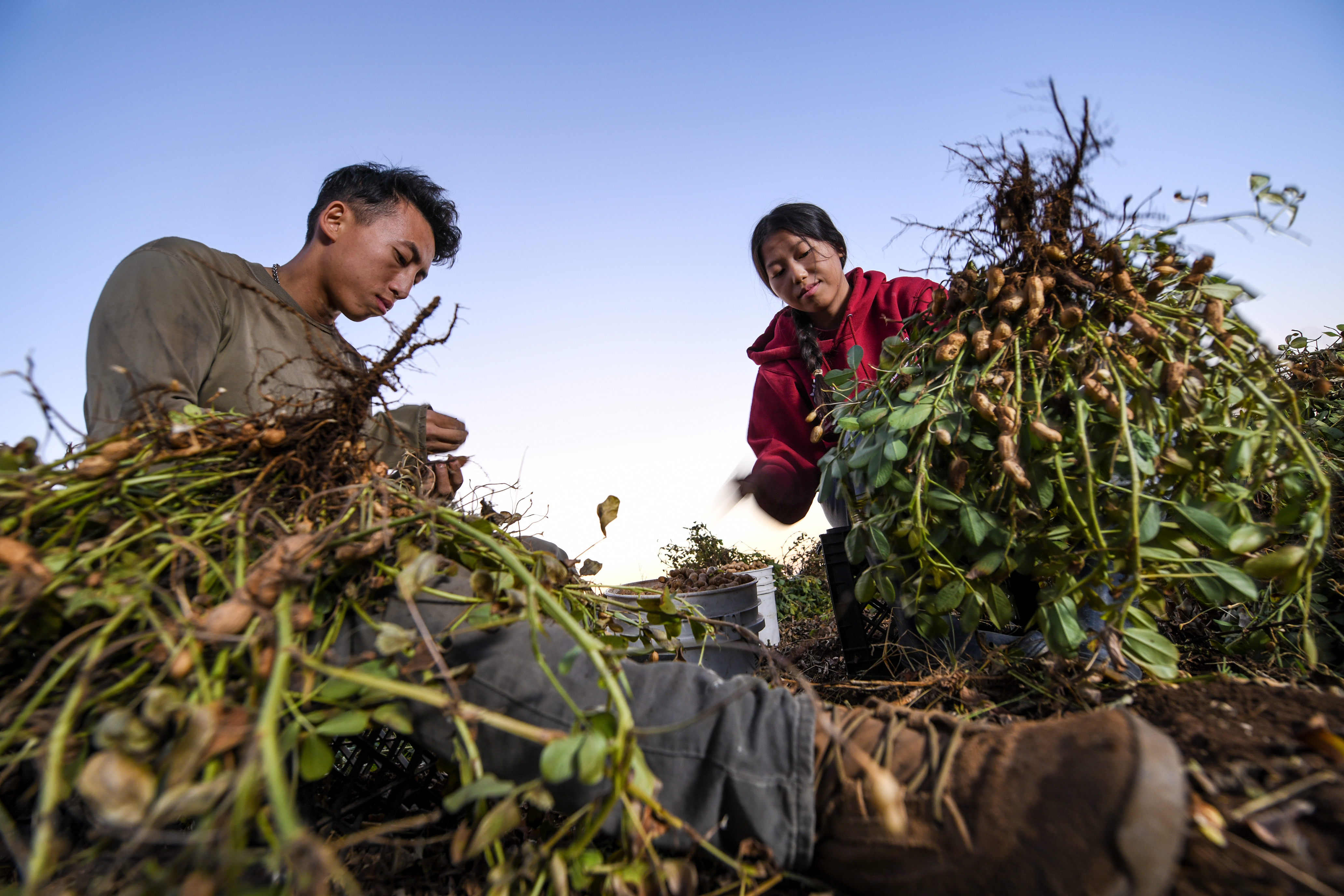 Usda Grant Funding Now Available To Support Farmers Of Color And Military Veterans National Sustainable Agriculture Coalitionnational Sustainable Agriculture Coalition