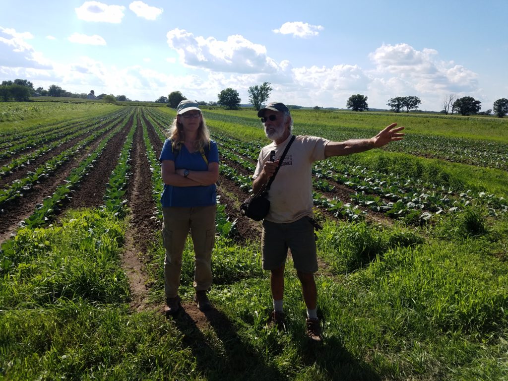 Owner/operators of Tipi Organic Producer give a tour of their operation, standing in a green field.