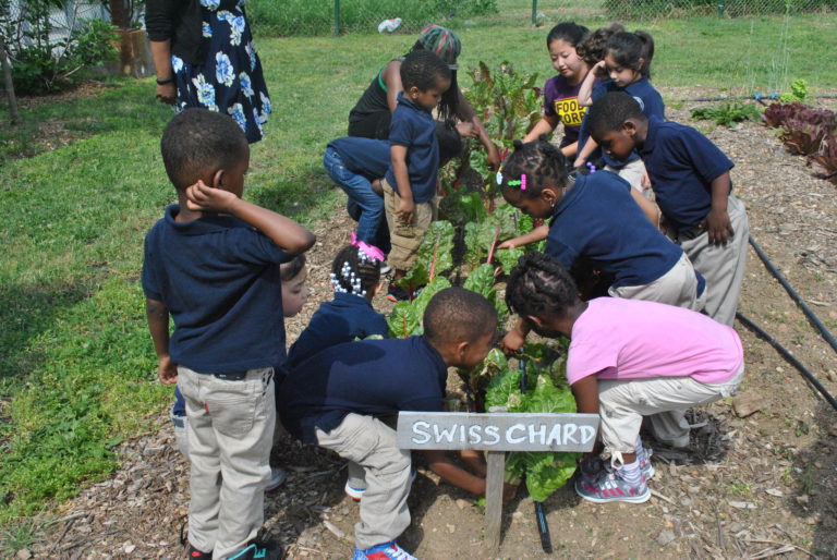 Farm to School Grant Request for Applications Released During National