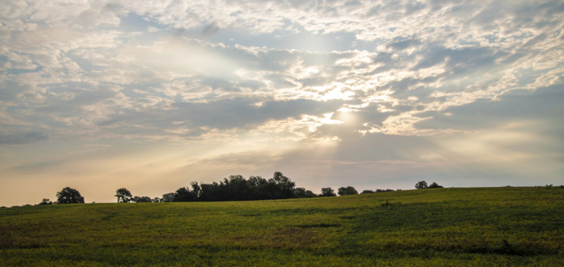 Path to a New Farm Bill: Crop Insurance Access 