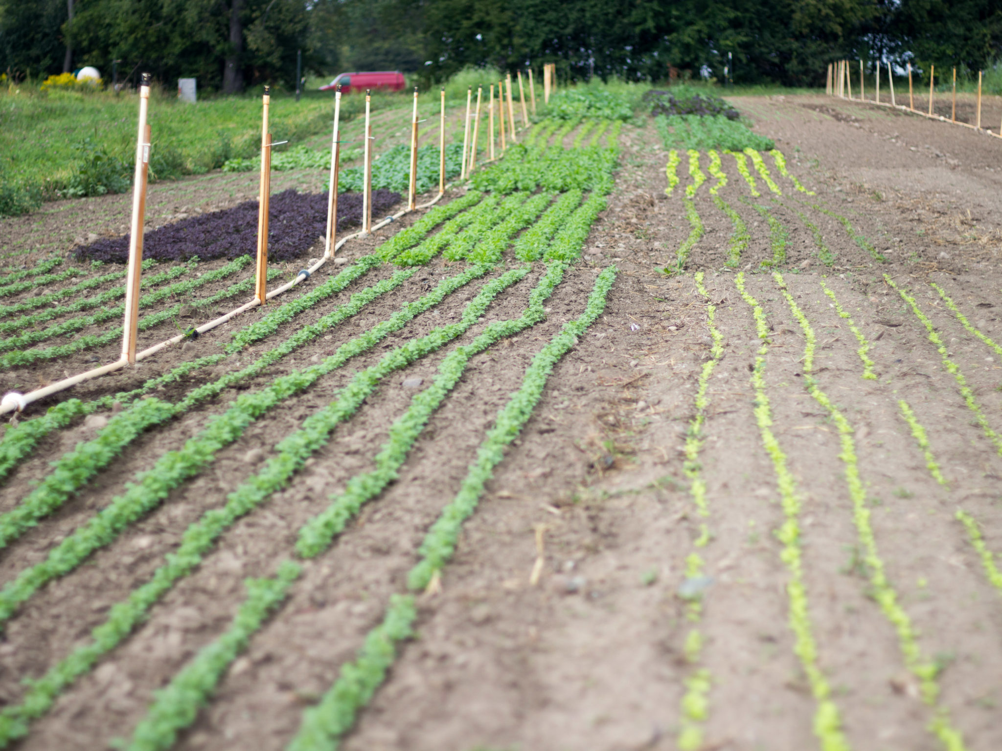 Important Emergency USDA Changes for Farm Loans and Crop