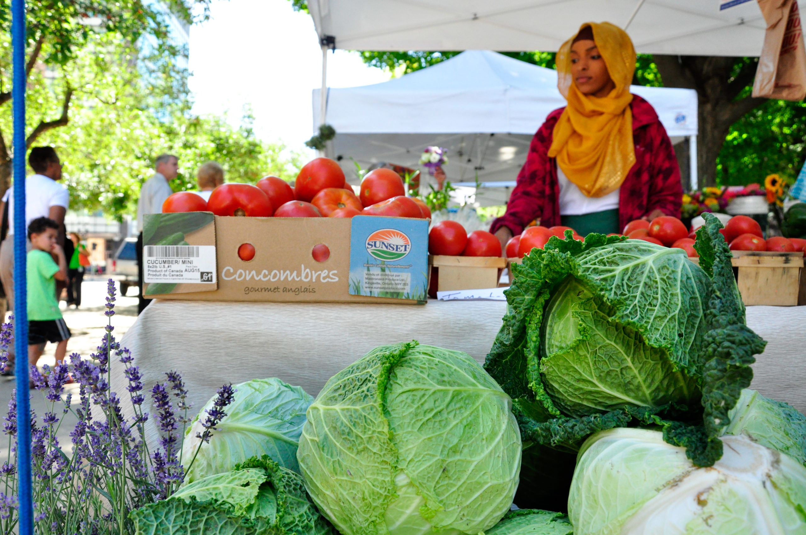 Guest Post: Farmers Markets Are Essential—And So Are the Policy 