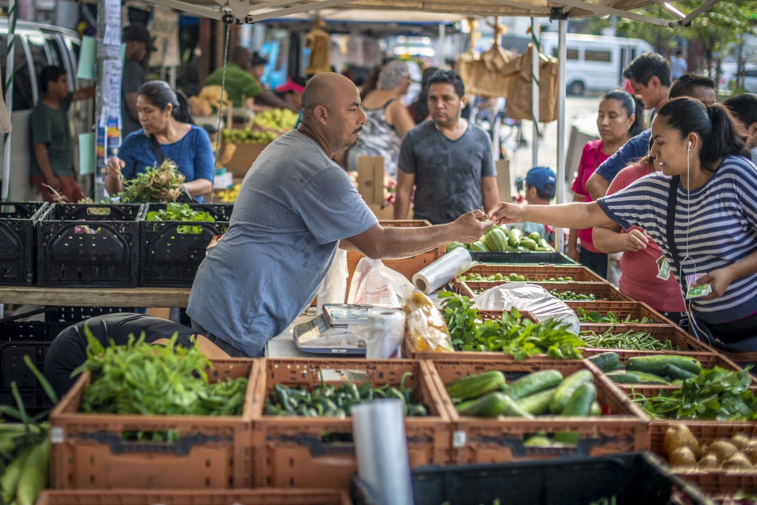 USDA Awards 27 Million To Support Local Food Projects National 