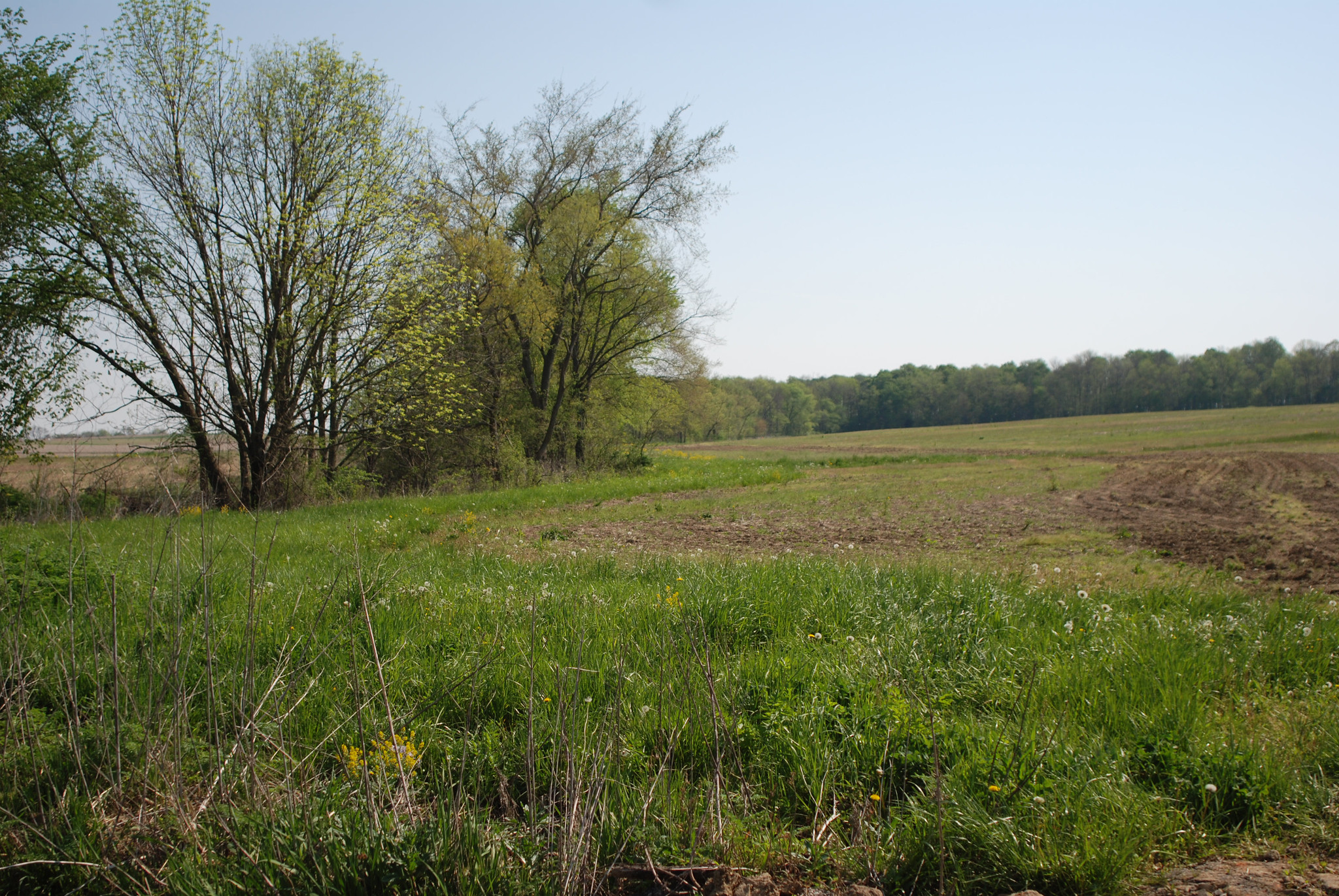 Conservation Buffer and Grasslands Enrollment Opportunities Within CRP