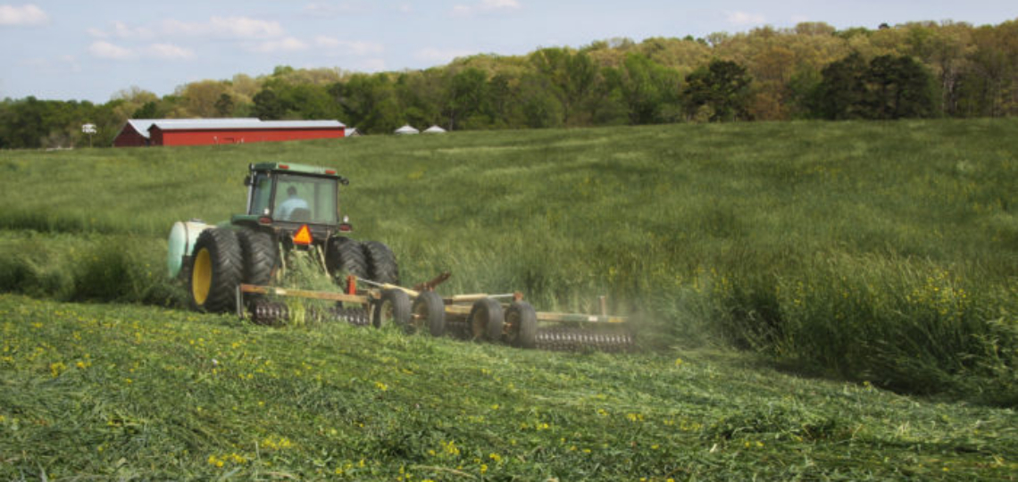 Keeping the “Farm” in the Farm Safety Net