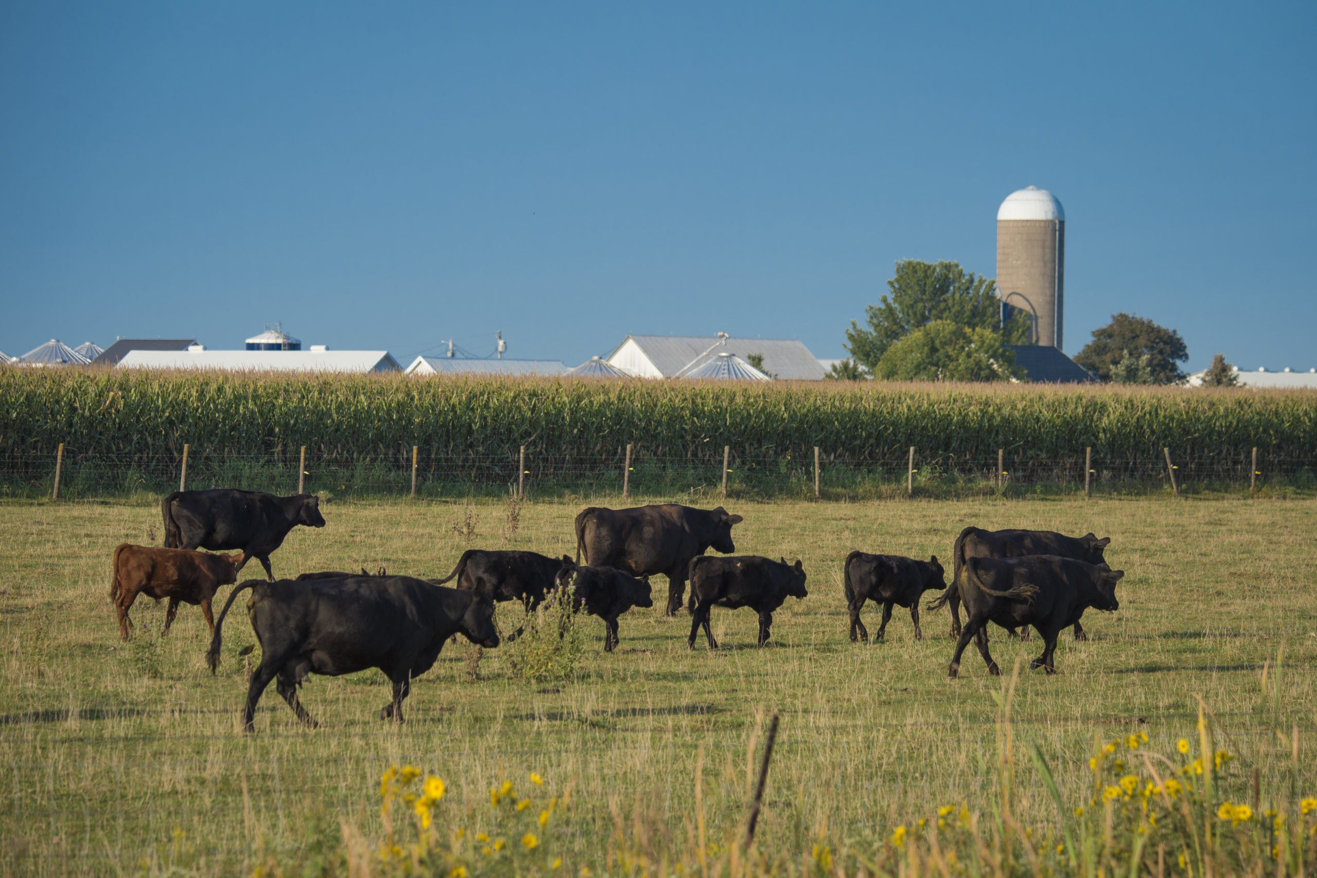 $22 Million Announced for Grazing Lands Conservation Initiative